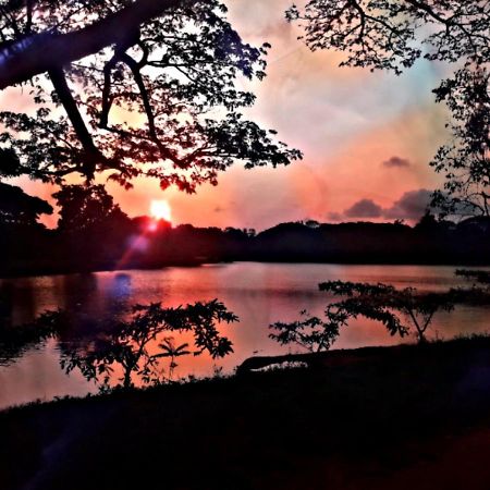 Lake View ダンブッラ エクステリア 写真