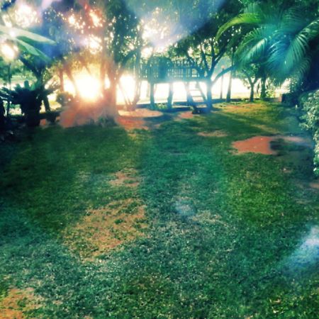 Lake View ダンブッラ エクステリア 写真