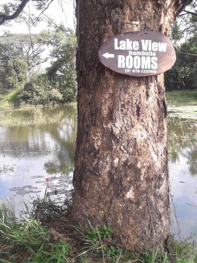 Lake View ダンブッラ エクステリア 写真